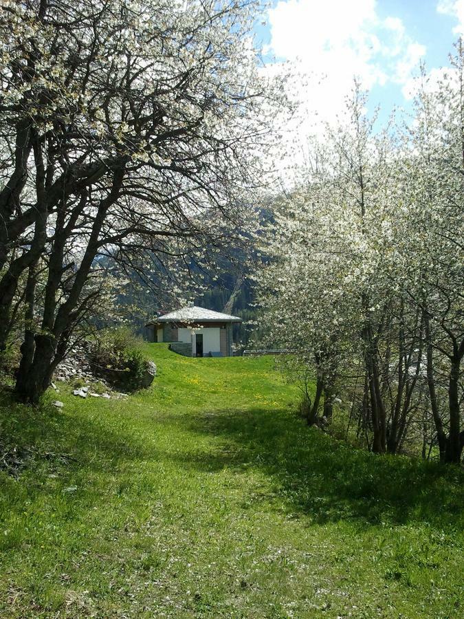 La Niche B&B Ла-Тюйль Экстерьер фото